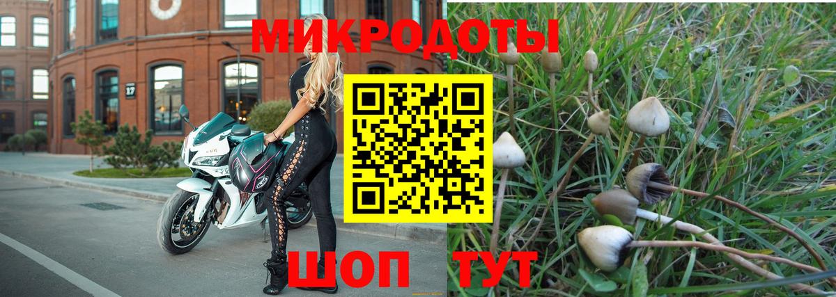 Галлюциногенные грибы MAGIC MUSHROOMS Зима