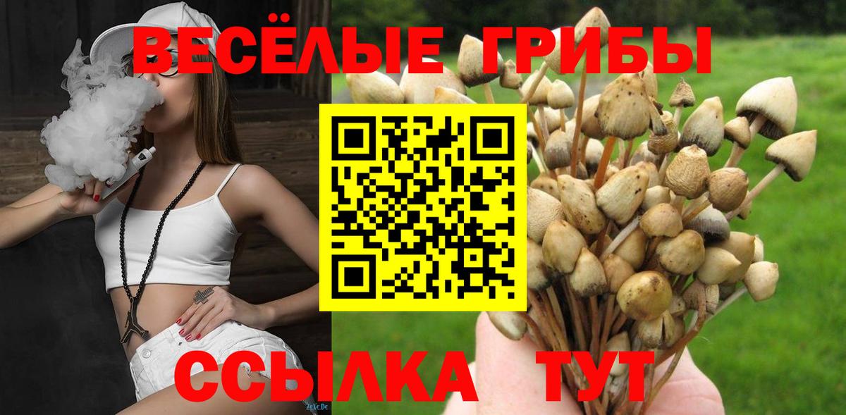 Галлюциногенные грибы ЛСД  Вход с VPN  Зима 