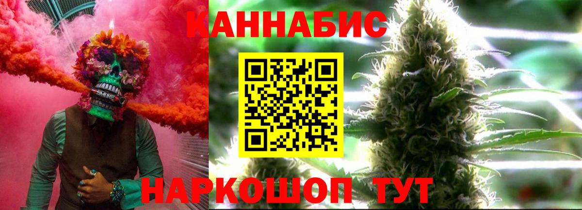 Зима  Конопля MAZAR  Конопля сатива  Вход с VPN 